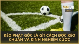 Kèo phạt góc là gì? Cách đọc kèo & kinh nghiệm cược hiệu quả tại W88