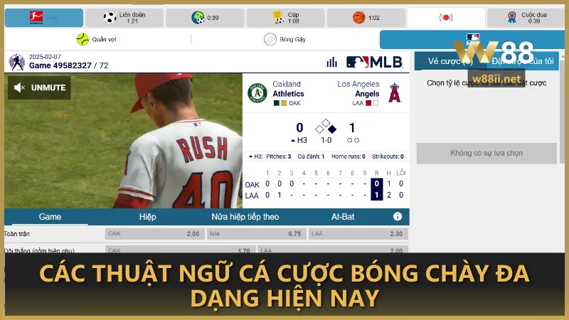 Các thuật ngữ cá cược bóng chày cần nắm hiện nay